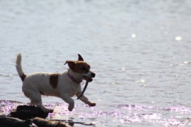 IMG 0399